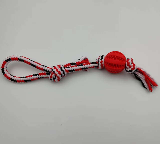 CM43006 Pet Tpr with Rope Toys