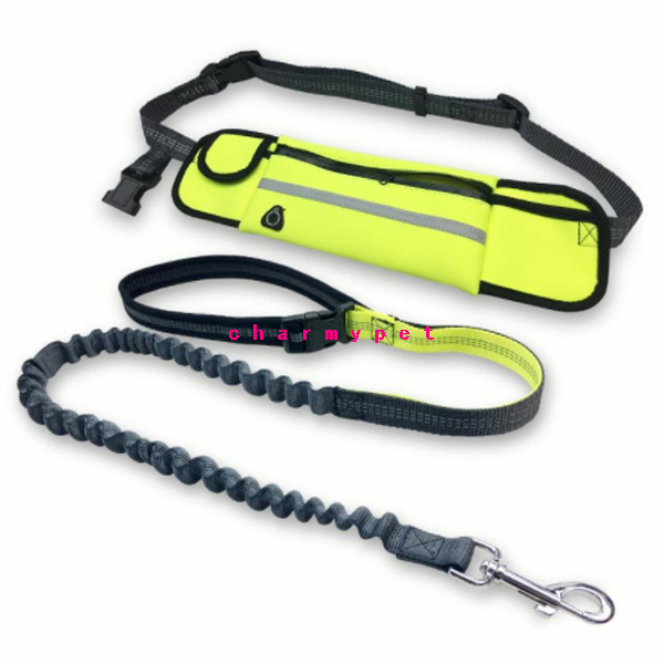 CM26002 Strong Retractable Reflective Bungee Running Leash With Bag