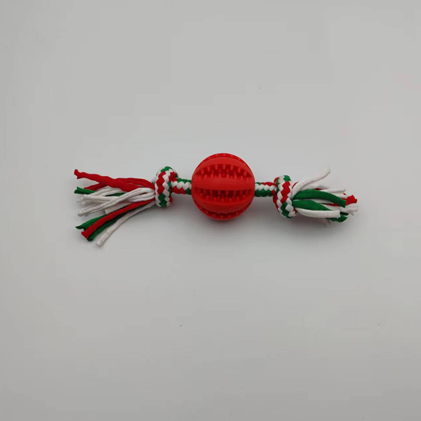 CM43005 Pet Tpr with Rope Toys